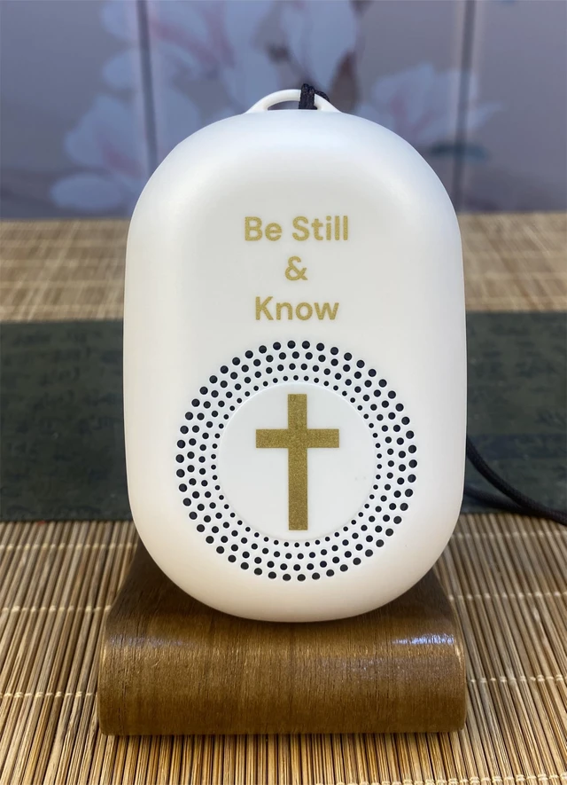 Alt view image 7 of 7 - KJV Audio Bible Player, Portable microSD Audio Player, Speakers, King James Version Talking Electronic Bible, Portable Bible Player Device New & Old Testament, Gifts for Seniors, White