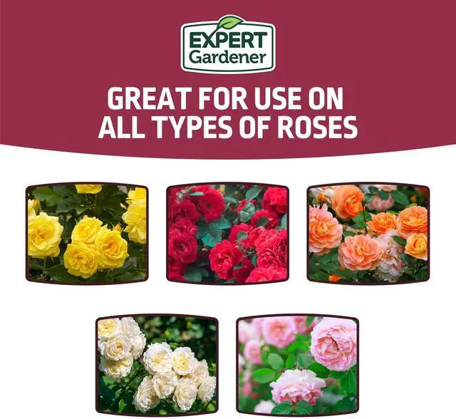 Alt view image 3 of 7 - Expert Gardener Rose Plant Food Fertilizer 12-6-10, 4 lb.