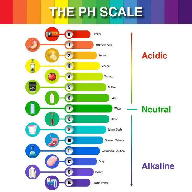 Alt view image 5 of 7 - 6 Pack pH Test Strips 480pcs Full Range 1-14
