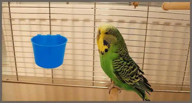 Alt view image 5 of 5 - 10-Pack 8oz Cage Cup Bird Feeder Seed Bowl Chicken Feeder Watering Dish Rabbit Water Food Hanging Wire Cage Box for Parrots Parakeets Game Birds Poultry Pigeons