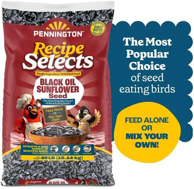 Main image of Pennington Recipe Selects Black Oil Sunflower Seed Dry Wild Bird Feed - Bird Food, 40 lb. Bag, 1 Pack