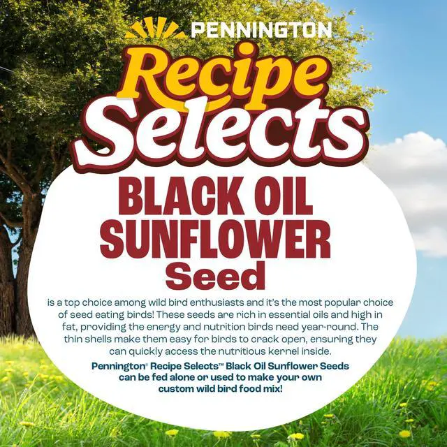 Alt view image 5 of 5 - Pennington Recipe Selects Black Oil Sunflower Seed Dry Wild Bird Feed - Bird Food, 40 lb. Bag, 1 Pack