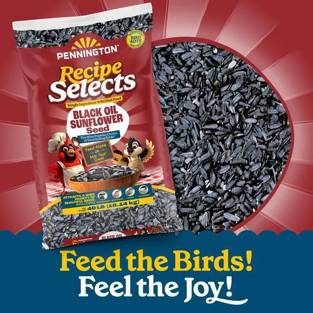 Alt view image 2 of 5 - Pennington Recipe Selects Black Oil Sunflower Seed Dry Wild Bird Feed - Bird Food, 40 lb. Bag, 1 Pack