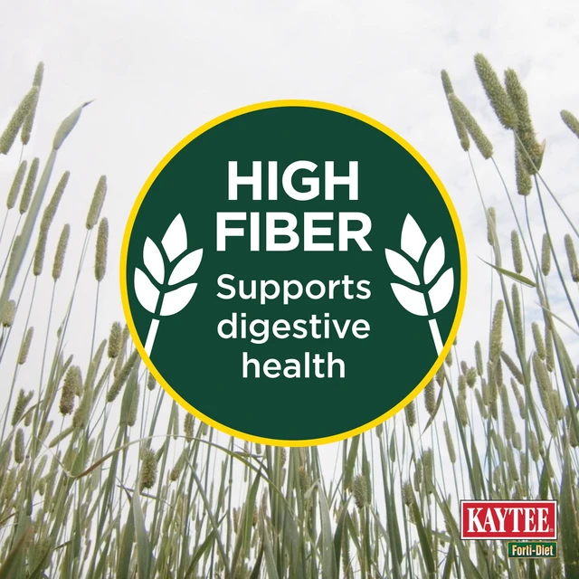 Alt view image 2 of 6 - Kaytee Forti-Diet All Natural Timothy Hay, 48 oz, for Rabbits, Guinea Pigs, Hamsters, Chinchillas and Other Small Animals
