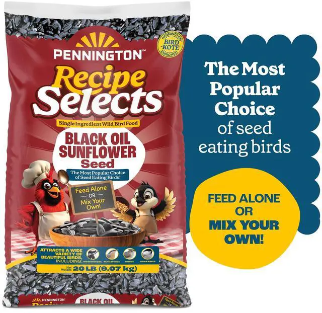 Main image of Pennington Recipe Selects Black Oil Sunflower Seed Dry Wild Bird Feed, Bird Food, 20 lb. Bag, 1 Pack