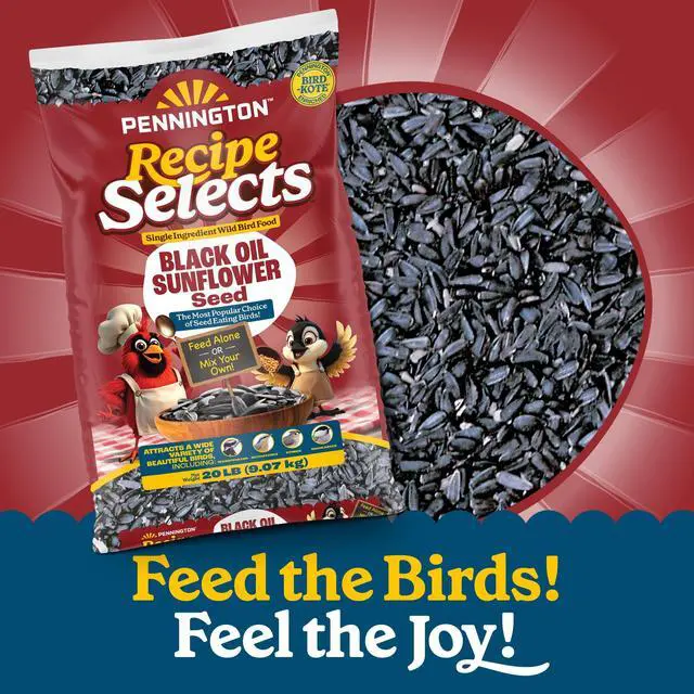 Alt view image 5 of 5 - Pennington Recipe Selects Black Oil Sunflower Seed Dry Wild Bird Feed, Bird Food, 20 lb. Bag, 1 Pack