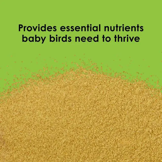 Alt view image 2 of 5 - Kaytee Exact Handfeeding Instant Formula Bird Food for Baby Birds, 18 ounces