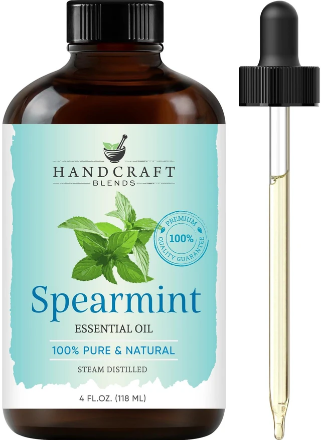 Main image of Handcraft Blends Spearmint Essential Oil, 4 Fl Oz