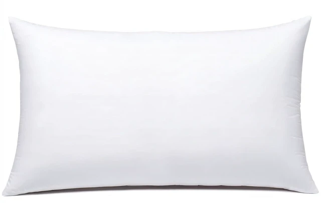 Main image of JIEITIVE Rectangle Lumbar Throw Pillow Inserts Set of 1, 12 x 20 Inches, Hypoallergenic Premium Pillow Stuffer for Decorative Cushion Covers