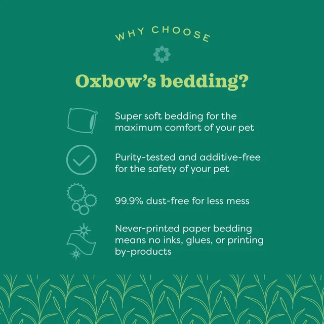 Alt view image 5 of 6 - Oxbow Small Animal Bedding 36L White for Hamster Guinea Pig Rabbit USA