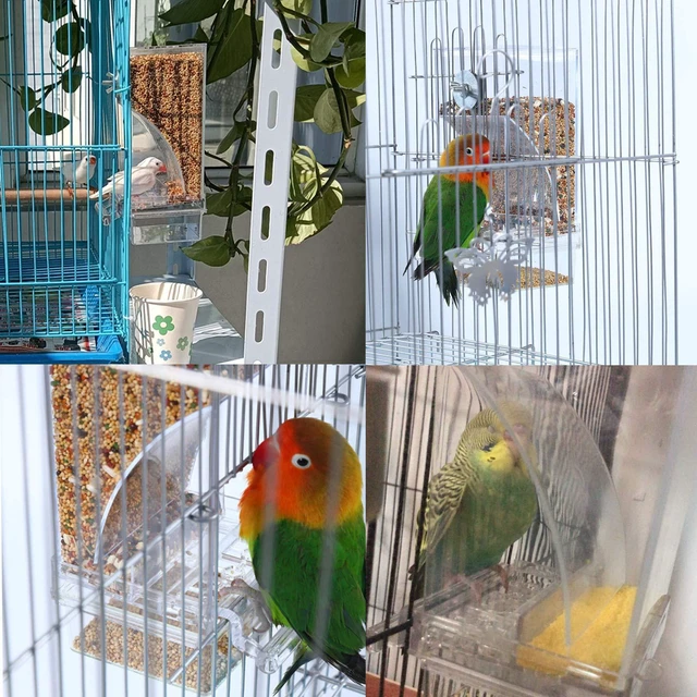 Alt view image 4 of 6 - Hamiledyi Automatic Parrot Seed Feeder No Mess with Perch, Acrylic Transparent Food Container for Small Medium Parakeets Lovebirds