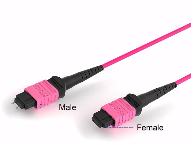 Alt view image 2 of 5 - OPFI MPO Fiber Cable, Type B, 12 Fibers, Multimode-OM4, Magenta, for 40G QSFP+/100G QSFP28 transceiver, MTP Compatible. (16ft, Male to Female)