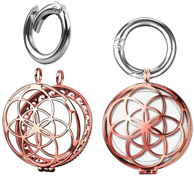 Main image of Metal Keychain for Apple AirTag Protective Case Holder Key Ring Dog Luggage Bike - Rose Gold