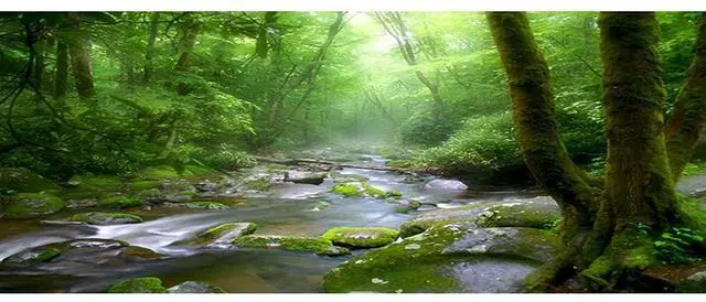 Main image of 48x18 Inch Rainforest Terrarium Background - Deep Forest Tank Aquarium Background With Sunny Stream Stones, Trees, Grass, Tropical Plants - Durable Polyester