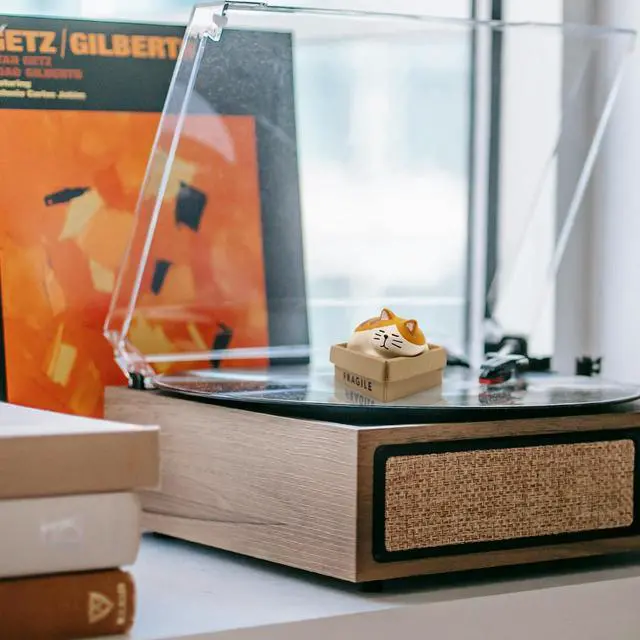 Alt view image 7 of 7 - Record Player Decor Cartoon Turntable Accessory for Vibration Damping LP | Decoration Turntable Weight Clamp (Style D)
