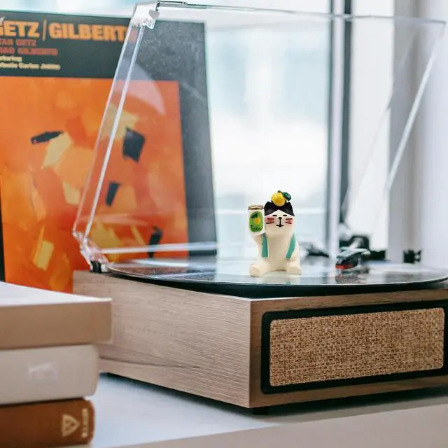 Alt view image 7 of 7 - Record Player Decor Cartoon Turntable Accessory for Vibration Damping LP | Decoration Turntable Weight Clamp (Style D)