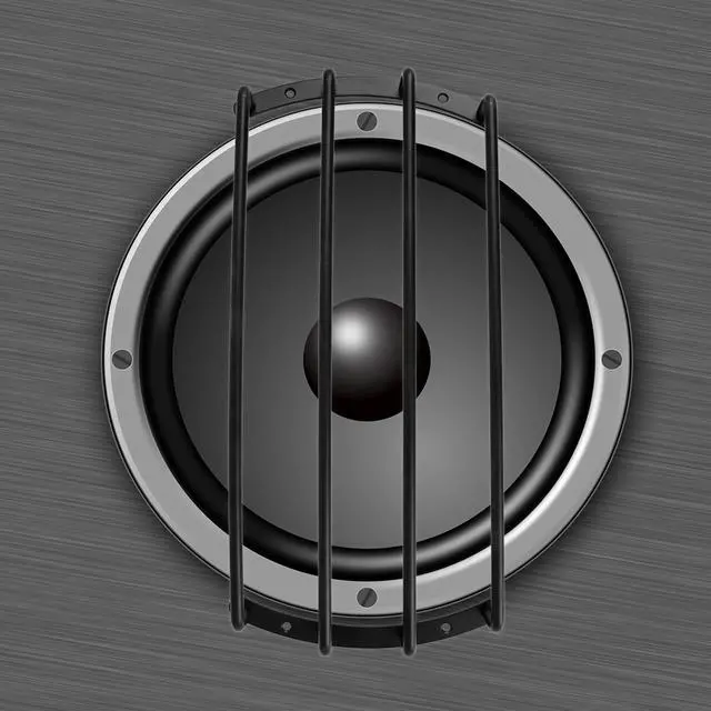 Alt view image 2 of 6 - 12 Inch Car Bar Grille Subwoofer Speaker Grill Cover Guard | Black, Metal, Universal