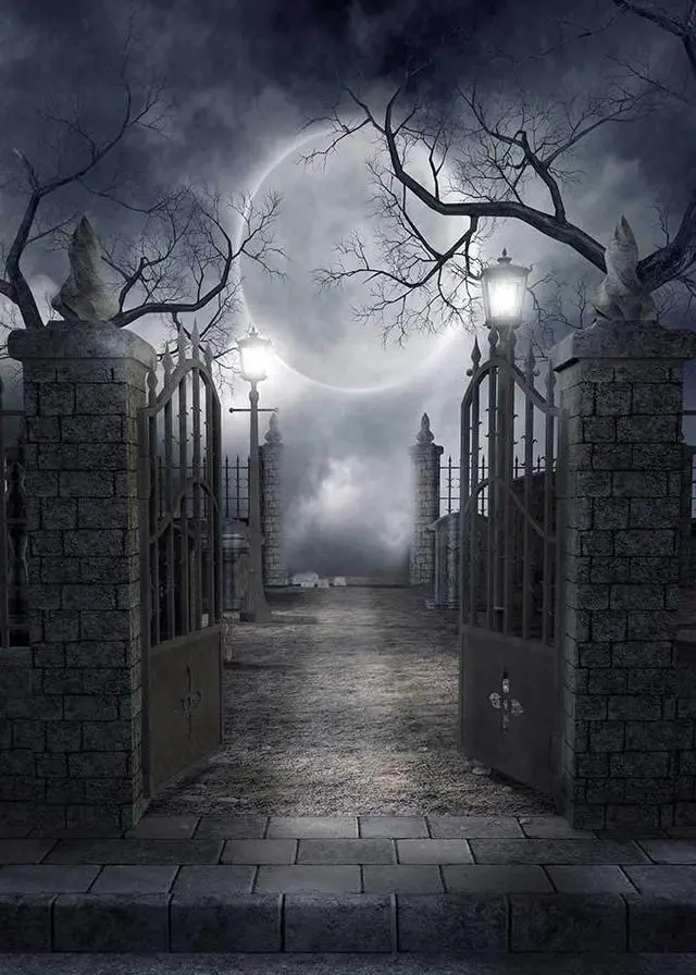 Alt view image 5 of 5 - Halloween Cemetery Full Moon Haunted Photography Backdrop (6X8FT) | Graveyard Full Moon Scene Decor, Halloween/Gothic/Cosplay Photo Backdrop, Lightweight Vinyl, Easy Hang & Wipe Clean