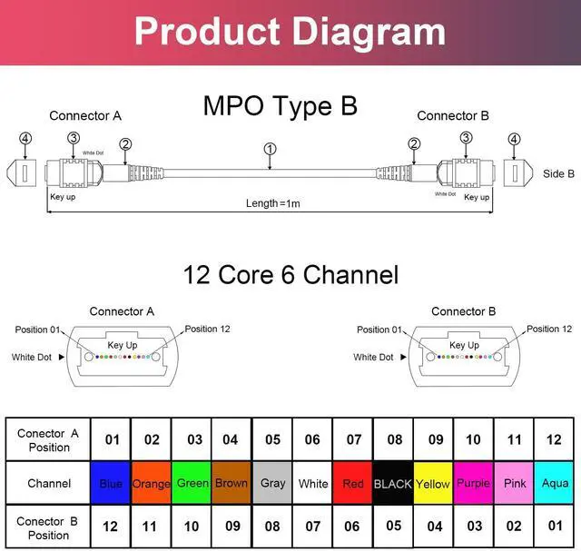 Alt view image 6 of 7 - 2Pcs 1m MPO Fiber Optic Patch Cord, OM4 Multi-Mode Cable Jumper Plug, Female to Female, 12 Core 6 Channel Type B, PC end face, LSZH 3.0mm, Compatible with 8 Core 4 Channel MPO