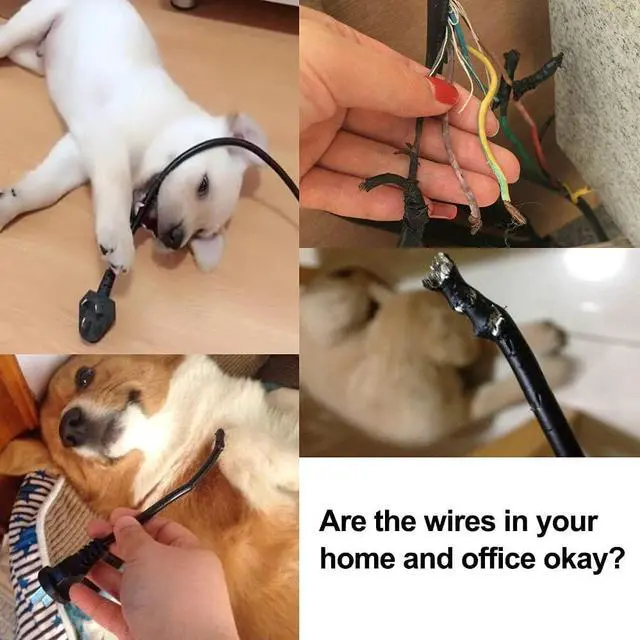Alt view image 2 of 6 - Dog and Cat Cord Protector, Cable Sleeve for USB Charge/Power 2Pack