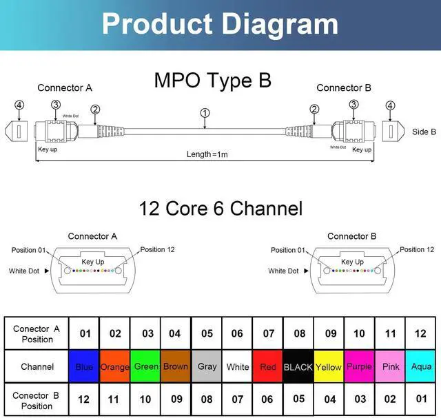 Alt view image 6 of 7 - 2Pcs 0.5m MPO Fiber Optic Patch Cord, OM3-150 Multi-Mode Cable Jumper Plug, Female to Female, 12 Core 6 Channel Type B, PC end face, LSZH 3.0mm, Compatible with 8 Core 4 Channel MPO