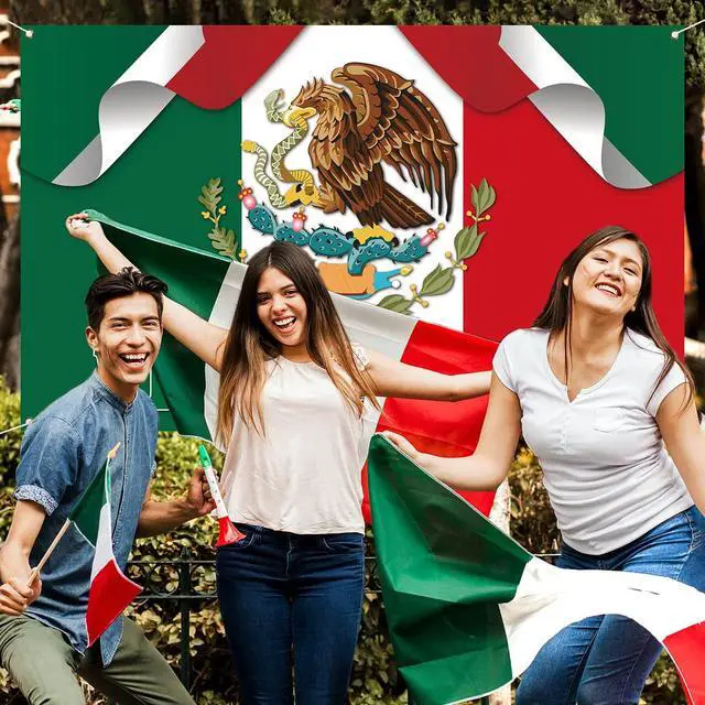 Alt view image 5 of 5 - Viva Mexico Backdrop Banner Dia De La Independencia Mexican Independence Day Party Photography Background Wall Decoration