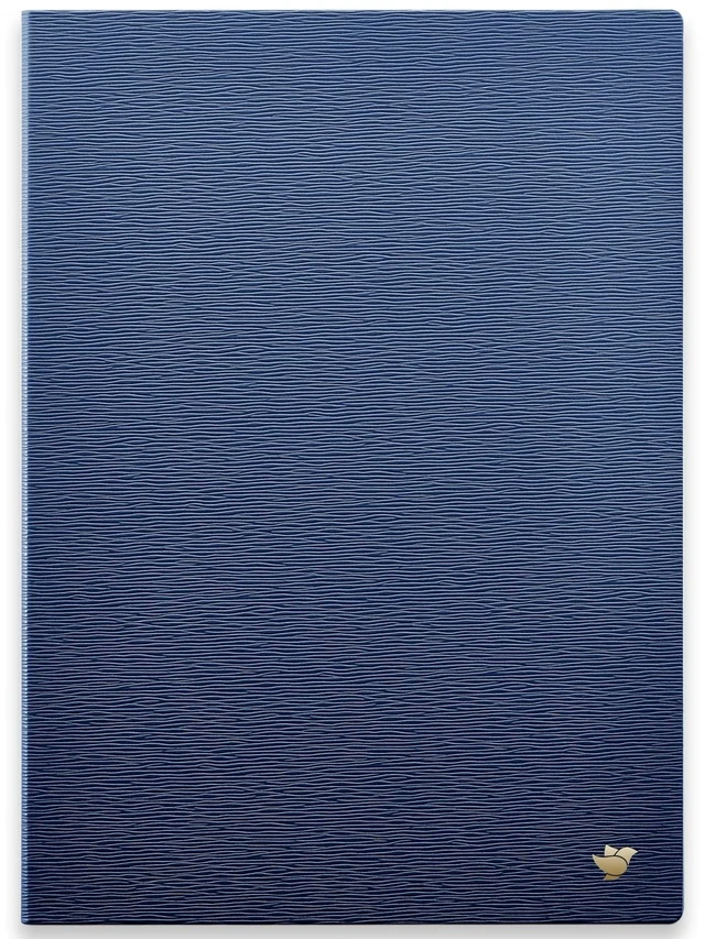 Main image of AINOTE 2 Paper Tablet 10.65" Protective Case-Blue