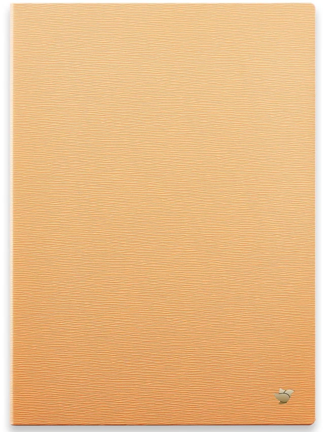 Main image of AINOTE 2 Paper Tablet 10.65" Protective Case-Orange