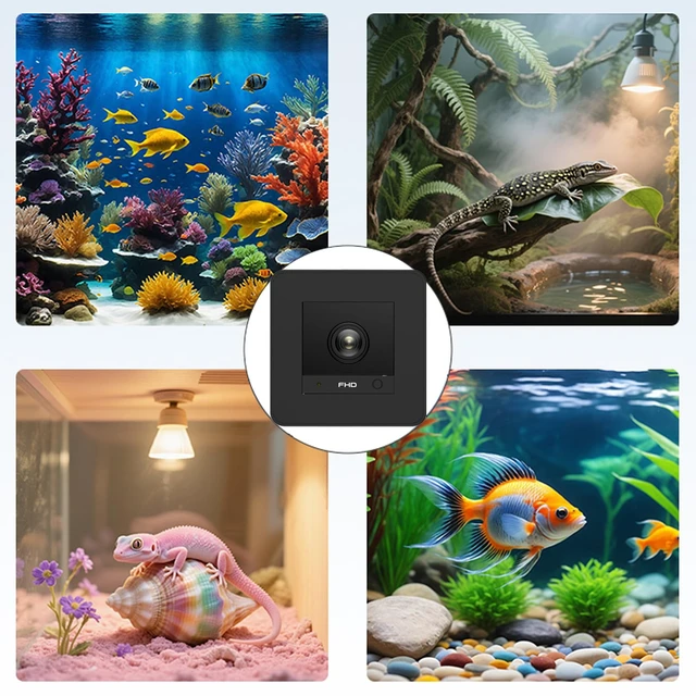 Alt view image 7 of 7 - Aquarium Camera, 2K HD for Fish, Lizard, Reptiles Terrarium, 140° Wide-Angle with Anti-Glare, Night Vision, WiFi Pet Camera with AI Motion Detection, 2-Way Audio, 24/7 Cloud/SD Recording S20M1 (Black)