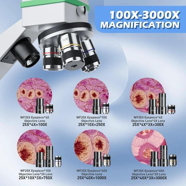 Alt view image 3 of 7 - Microscope for Adults Professional, Compound Microscope for Kids 8-12, 100X-3000X High-Power Biological Microscope for Students, School Lab & Home Education, with Slides Set