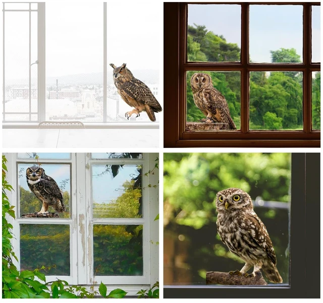 Alt view image 2 of 5 - 4 Pcs Photo Realistic Cute Owls - 12 Inch Full Color Vinyl Stickers, Waterproof for Indoor or Outdoor, Cars, Laptops, Walls, Windows and More
