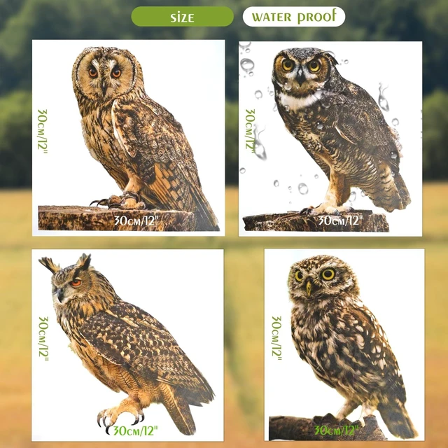 Alt view image 3 of 5 - 4 Pcs Photo Realistic Cute Owls - 12 Inch Full Color Vinyl Stickers, Waterproof for Indoor or Outdoor, Cars, Laptops, Walls, Windows and More
