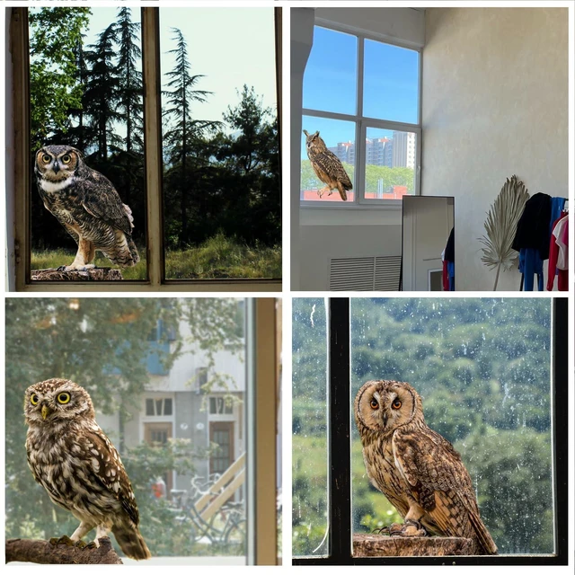 Alt view image 5 of 5 - 4 Pcs Photo Realistic Cute Owls - 12 Inch Full Color Vinyl Stickers, Waterproof for Indoor or Outdoor, Cars, Laptops, Walls, Windows and More