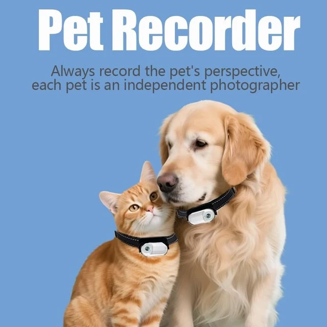 Alt view image 4 of 6 - Cat Camera Collar Catcampro POV 4 Hour 4k Video Recording Pet-Friendly Cat Action *1M+ Social Media Followers* Indoor/Outdoor Camera No WiFi Needed