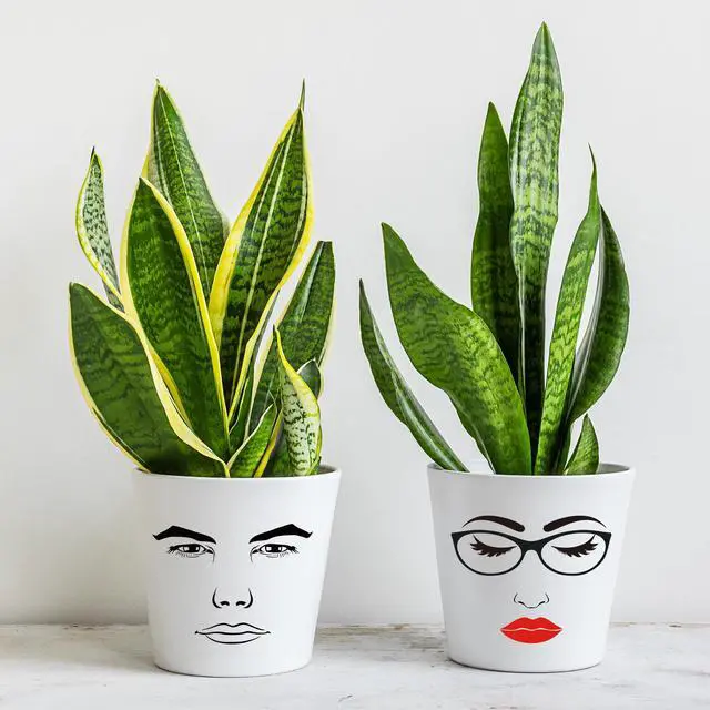 Alt view image 3 of 6 - Face Stickers for Flower Pots - 12 Sheets DIY Crafts Vinyl Decals | Male and Female, Eyes Nose Mouth, Funny Face Transfer Stickers, Waterproof, Party Favor, Wood Wall Water Bottles Laptop Decor