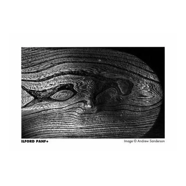 Alt view image 5 of 6 - PAN F Plus, Black and White Print Film, 135 (35 mm), ISO 50, 36 Exposures 2-Pack