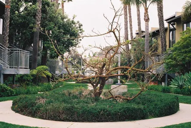 Alt view image 6 of 6 - Fujicolor 200 ISO 35mm Color Negative Film - 2 Packs (6 Rolls, 36 Exposures Each)