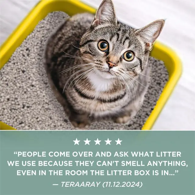 Alt view image 5 of 5 - Unscented Clumping Cat Litter with Activated Charcoal, LowDust Odor Control, 20 lb Jug
