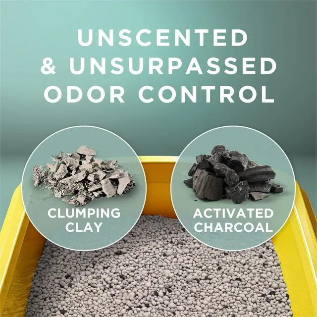 Alt view image 4 of 5 - Unscented Clumping Cat Litter with Activated Charcoal, LowDust Odor Control, 20 lb Jug