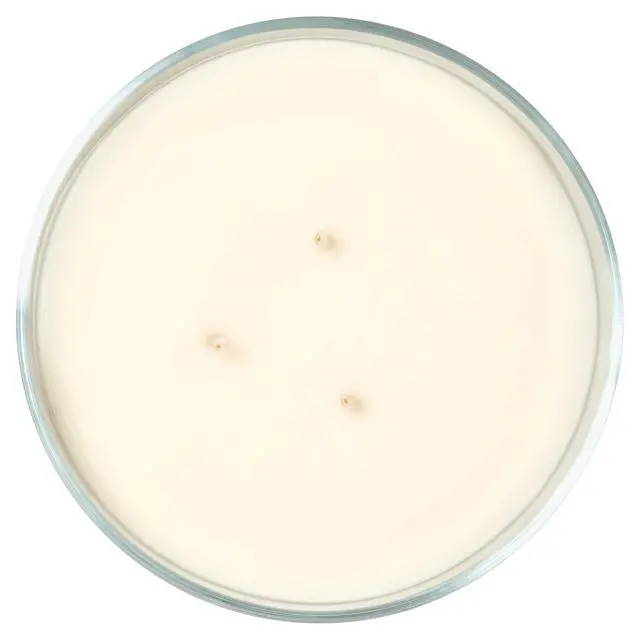 Alt view image 6 of 7 - Mainstays 3-Wick Ombre Wrapped Country Holiday Scented Jar Candle, 14 oz
