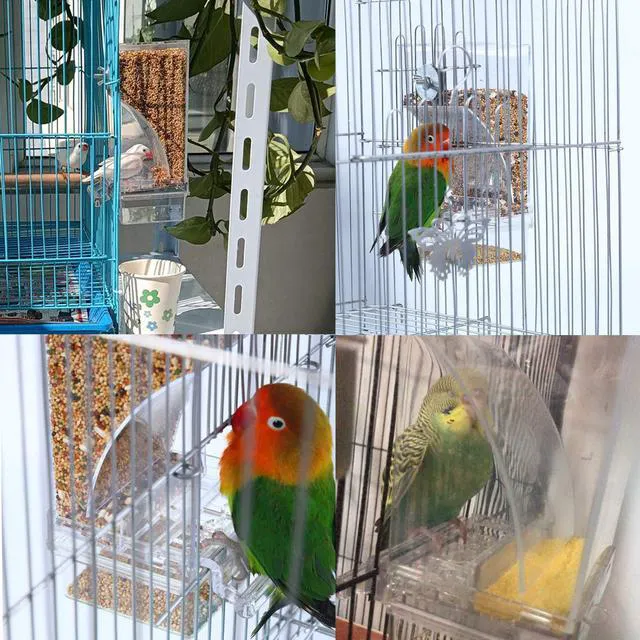 Alt view image 4 of 6 - Hamiledyi Automatic Parrot Seed Feeder No Mess with Perch, Acrylic Transparent Seed Container, Cage Accessories for Small to Medium Parakeets Lovebirds