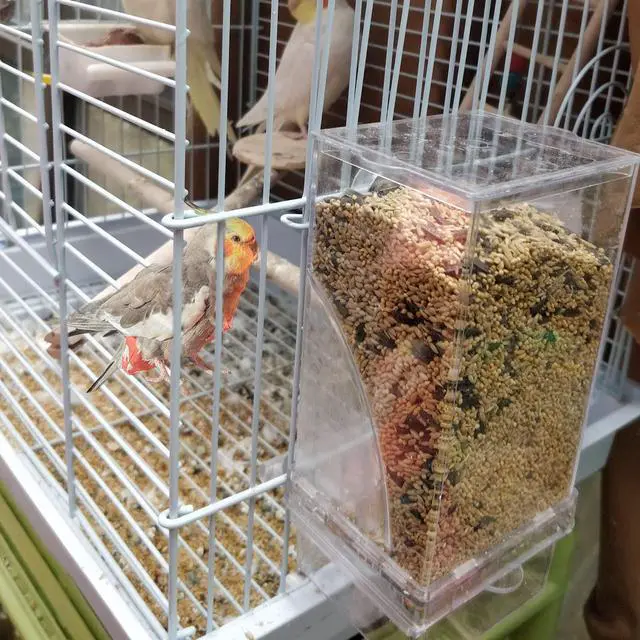 Alt view image 3 of 6 - Hamiledyi Automatic Parrot Seed Feeder No Mess with Perch, Acrylic Transparent Seed Container, Cage Accessories for Small to Medium Parakeets Lovebirds
