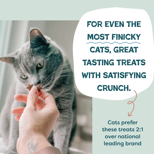 Alt view image 6 of 6 - Shameless Pets Crunchy Cat Treats Yam Good Salmon, Skin & Coat Support, Natural Ingredients with Real Salmon, 1-Pack