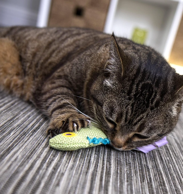 Alt view image 3 of 7 - Petlinks HappyNip Crinkle Chameleon Cat Toy with Silvervine & Catnip, Green, One Size