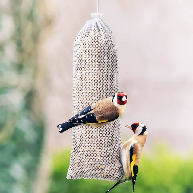 Alt view image 6 of 6 - Weewooday 3 Pieces Finch Sock Feeder Thistle Seed 4.7x11in White
