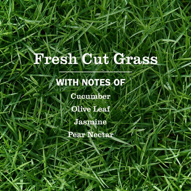 Alt view image 5 of 6 - Mrs. Meyer's Clean Day Hand Soap, Fresh Cut Grass, 12.5Fl Oz