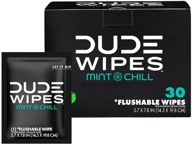Main image of DUDE Wipes On-the-Go Mint Chill Adult Flushable Travel Wipes, 30 Count