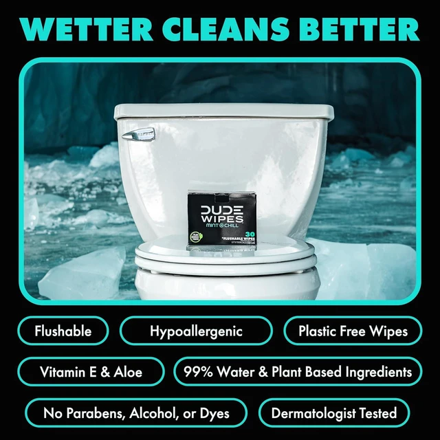 Alt view image 6 of 6 - DUDE Wipes On-the-Go Mint Chill Adult Flushable Travel Wipes, 30 Count