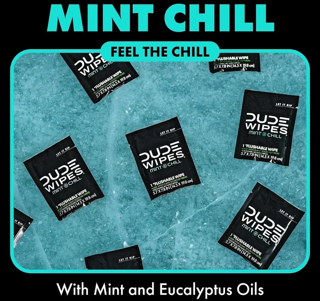 Alt view image 4 of 6 - DUDE Wipes On-the-Go Mint Chill Adult Flushable Travel Wipes, 30 Count