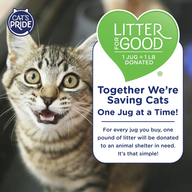Alt view image 6 of 6 - Cat's Pride Antibacterial Litter, Odor-Eliminating Scented, 12lb